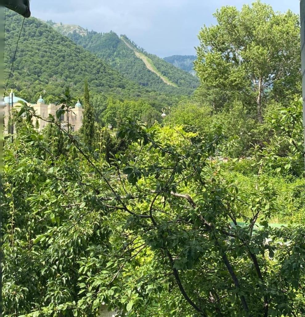 Panoramic Tufandag Family Apartment Габала Экстерьер фото
